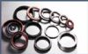 Chinasealings Group Inc. Provides Various High-Quality Oil Seals
